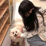 恶魔的晶体手机版下载